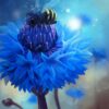 bees reame segreto carte ape blu italiano