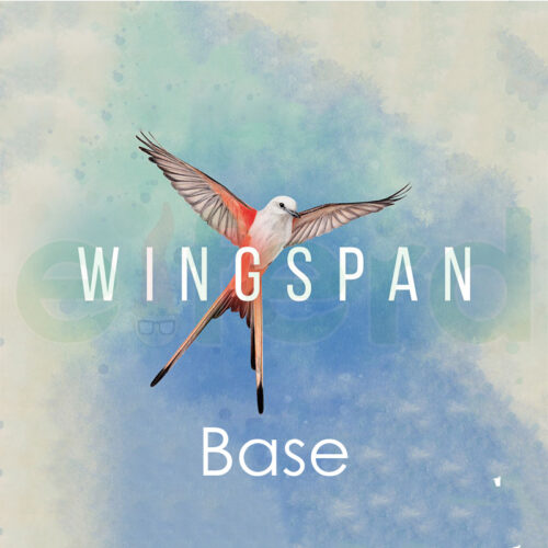 Bundle Base di Wingspan